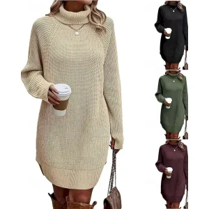 Women's Mini Dress Sweater Dress Fashion Modern Daily Holiday Going out Regular Fit Plain Long Sleeve Turtleneck Black White Army Green Fuchsia Fall Winter
